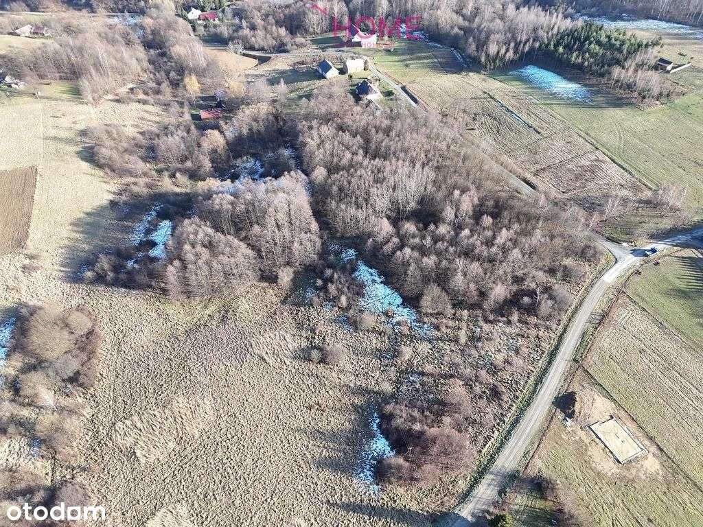 Działka na sprzedaż 97a - Nowy Borek - Pełny obrazek: 5/8