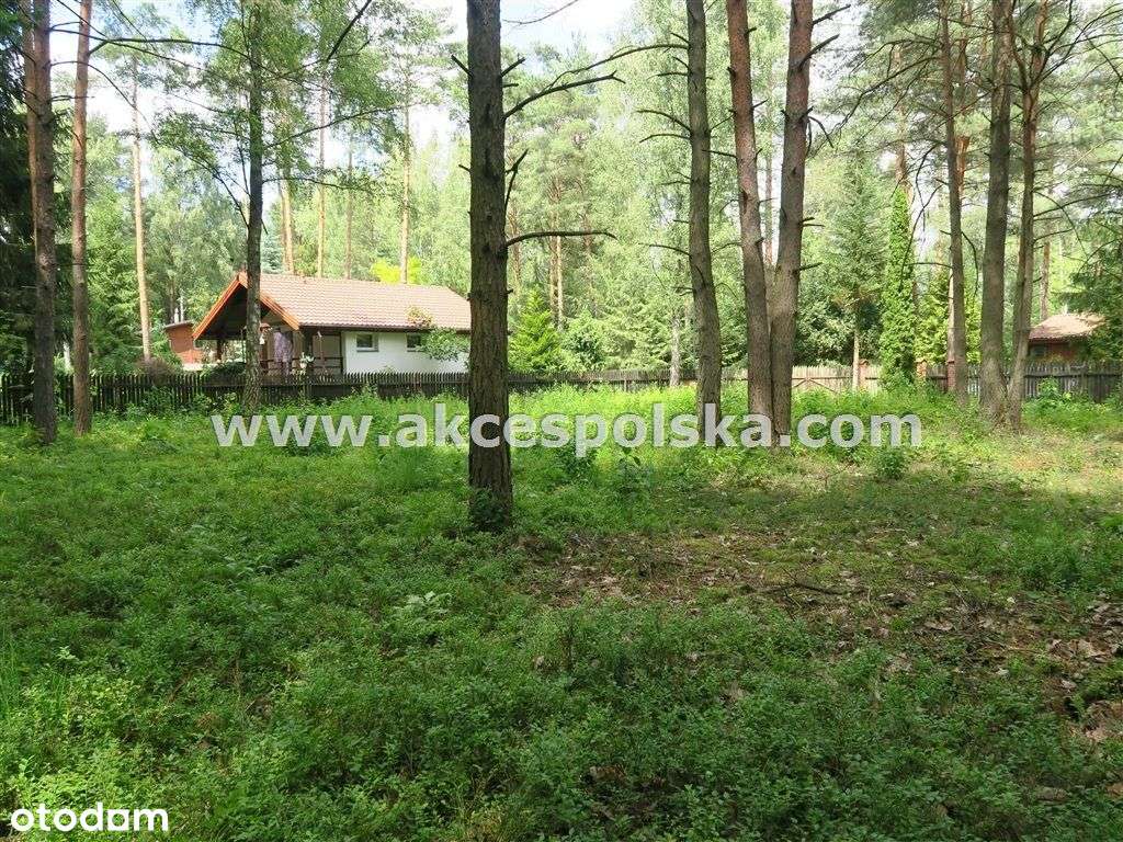 działka z aktualną Wz i starodrzewem-3