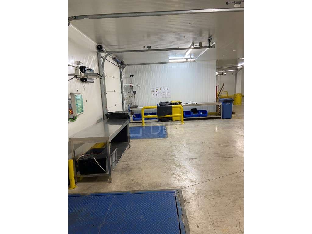 Armazém para venda - Vila Nova da Rainha, Azambuja - Grande imagem: 5/20