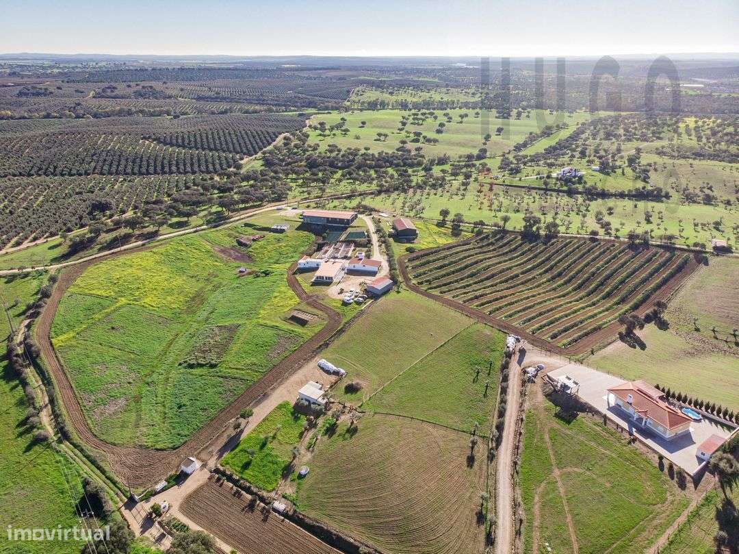 Vende-se Quinta/ Hotel canino, Nossa Senhora de Machede, Évora - Grande imagem: 3/43