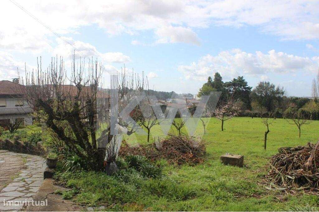 Terreno com 3325 m2 para construção de moradias Santiago da Riba-Ul, O - Grande imagem: 4/16