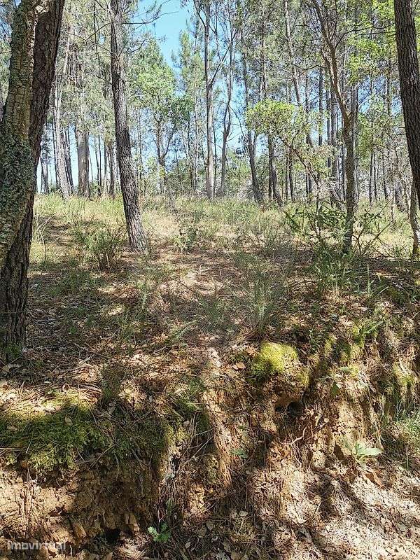 Terreno  para venda - Grande imagem: 2/4