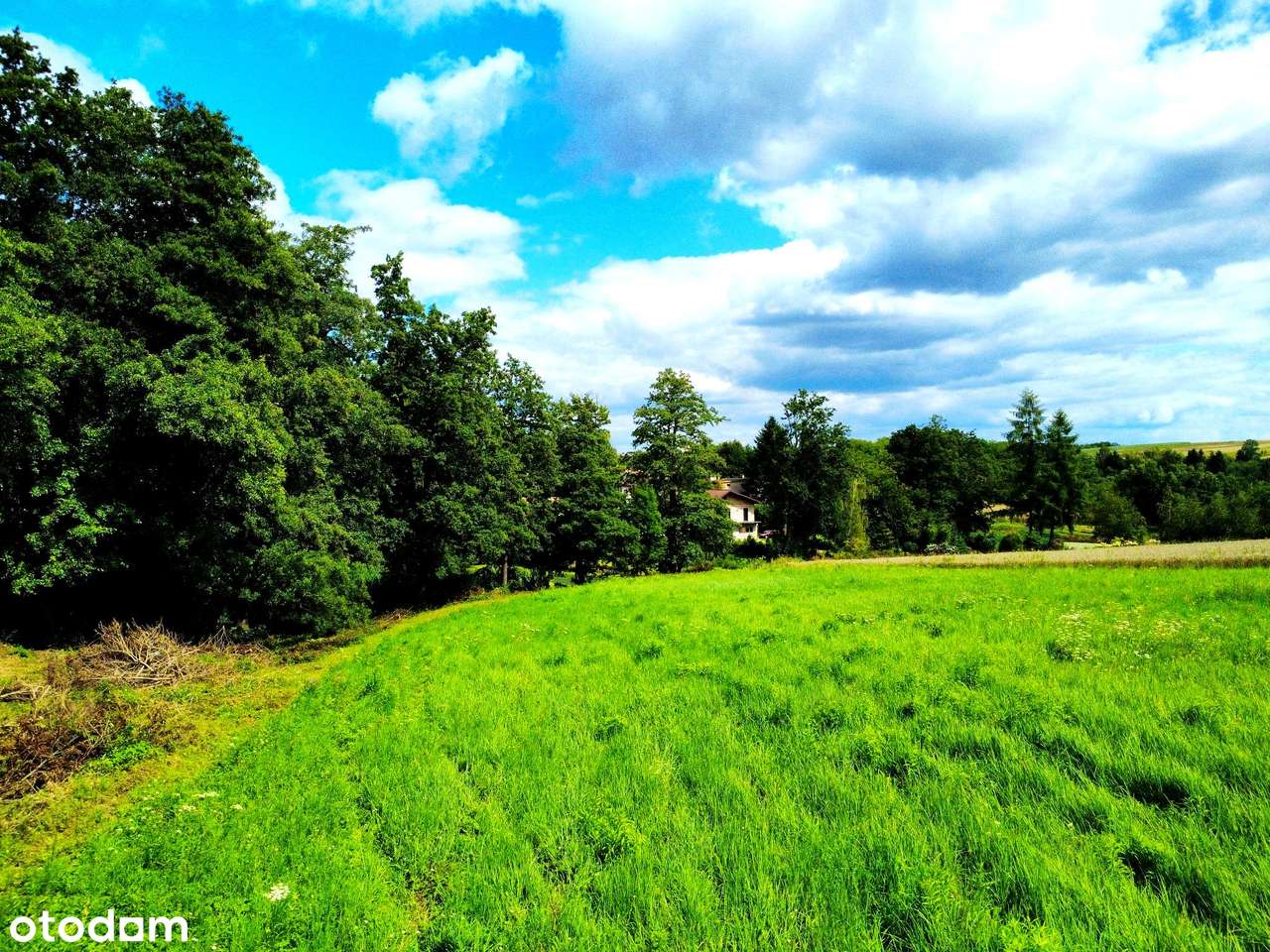 Wyjątkowa działka 81 ar | Przybysławice | staw, zieleń, media, MPZP-18