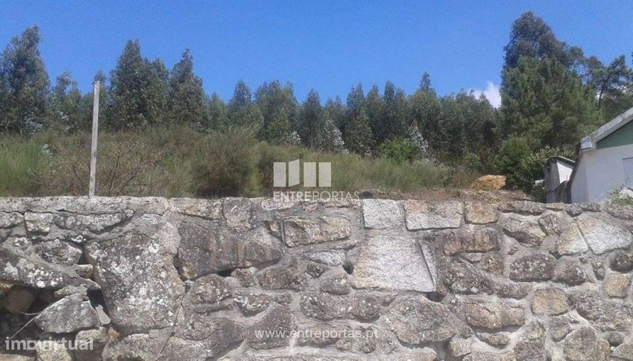 Venda Terreno, S. Miguel de Paredes, Penafiel - Grande imagem: 4/7