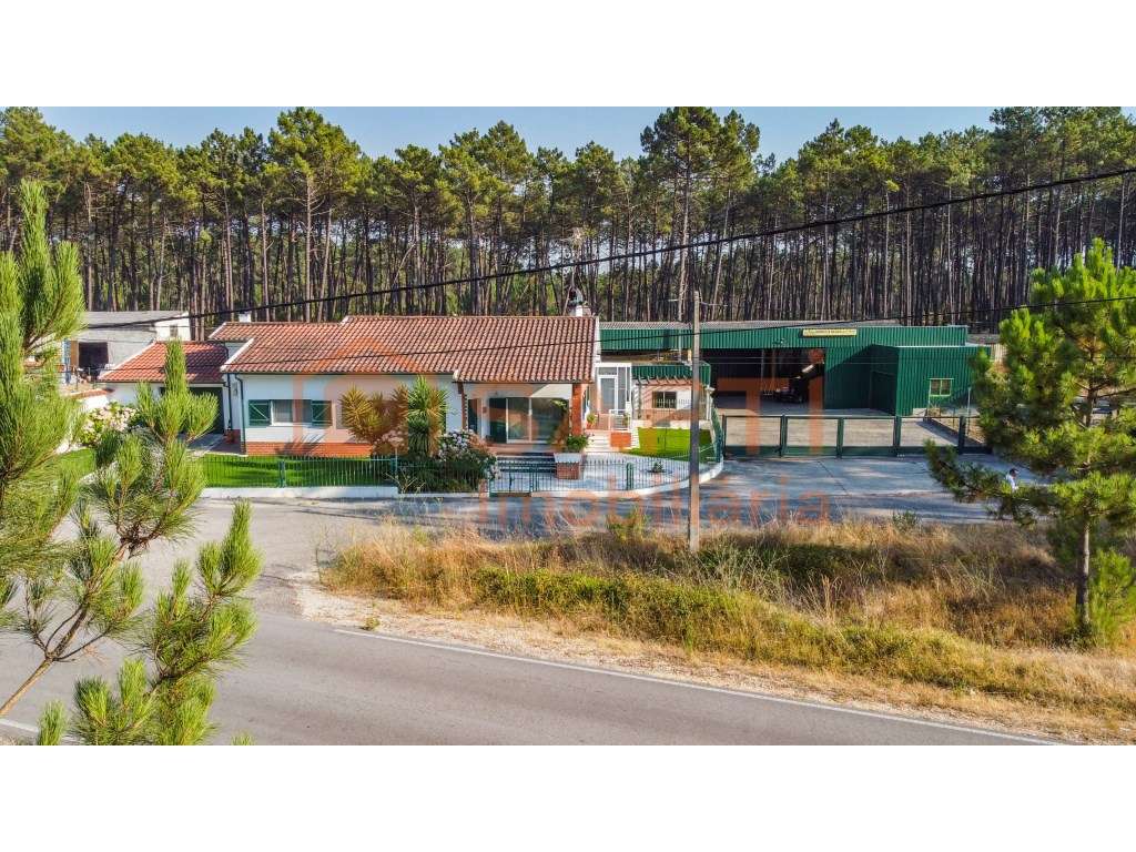 Moradia e Pavilhão industrial - Grande imagem: 4/44