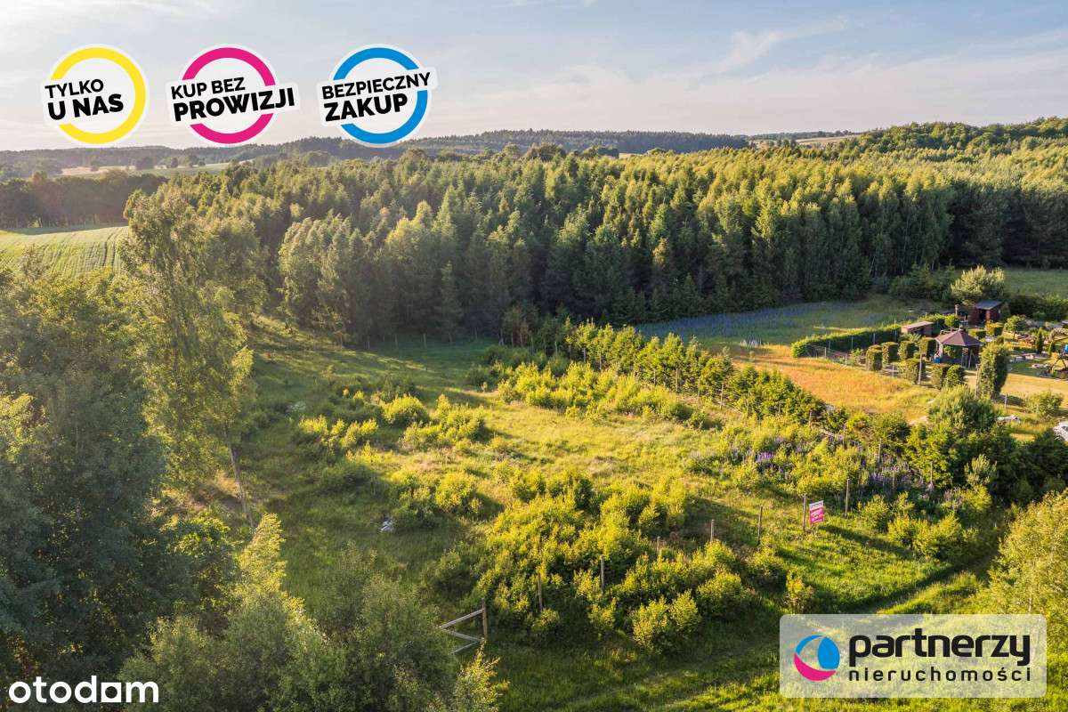 Duża działka w pięknej i spokojnej okolicy ! - Pełny obrazek: 5/14