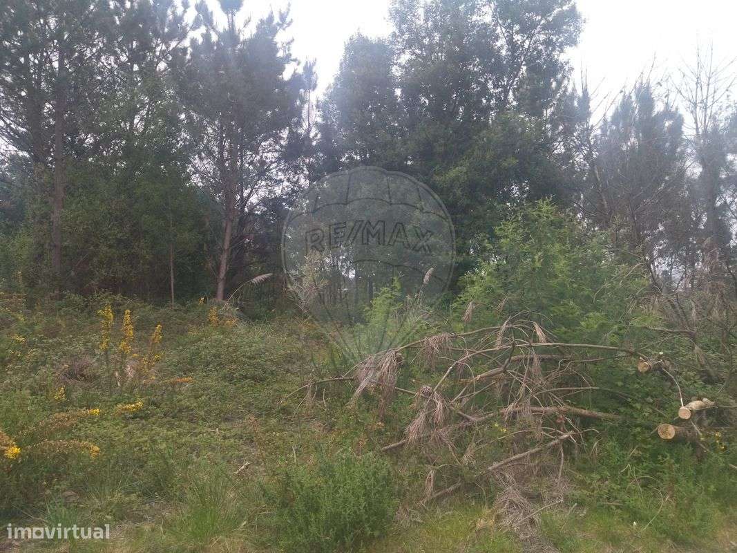 Terreno  para venda - Grande imagem: 2/6