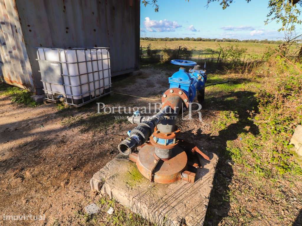 Herdade de 60 hectares para criação bovina e equina perto de Lisboa-46