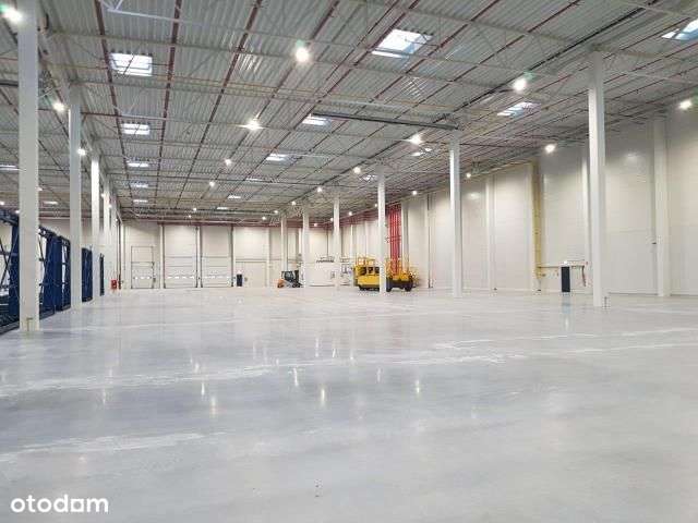 Magazyn na wynajem Lisi Ogon / 4 000 m2 - Pełny obrazek: 5/5
