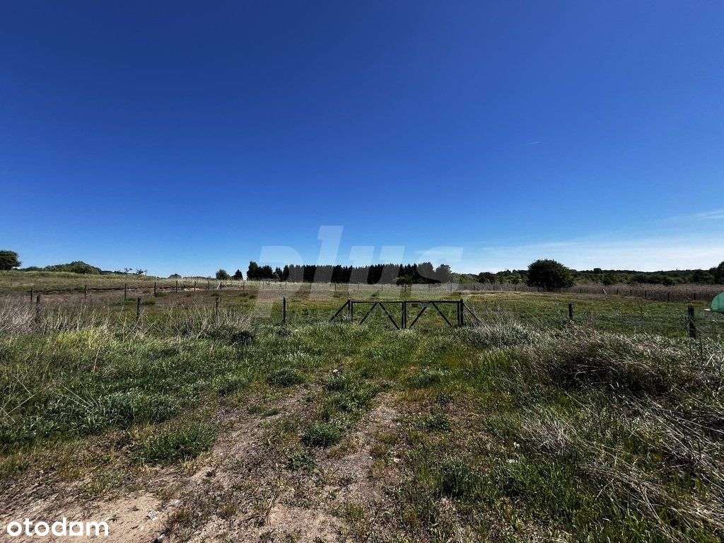 Duża działka warunki zabudowy gm. Chojna - Pełny obrazek: 4/5