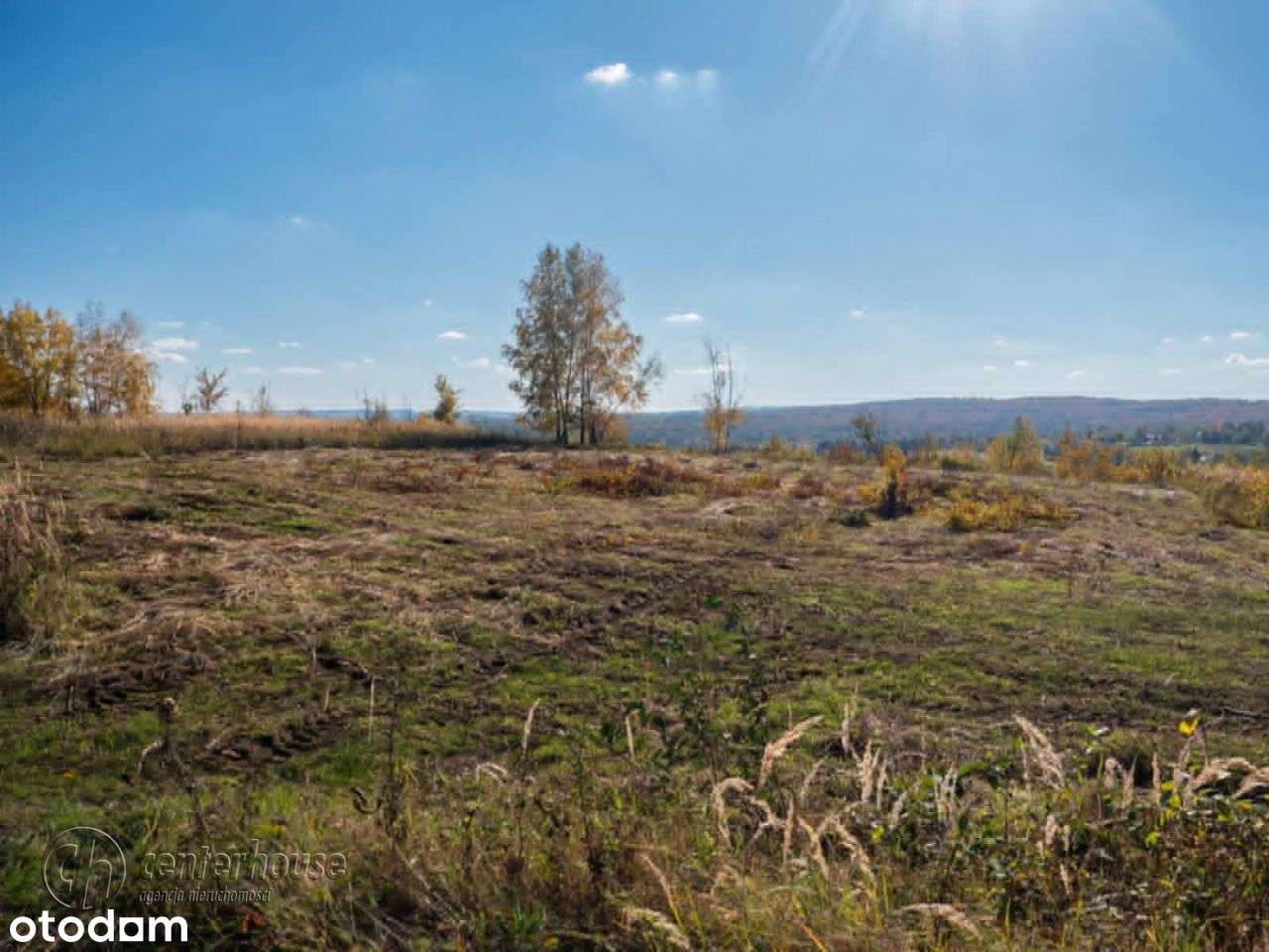 Tyczyn działka 13.06ar, warunki zabudowy pod dom - Pełny obrazek: 5/6