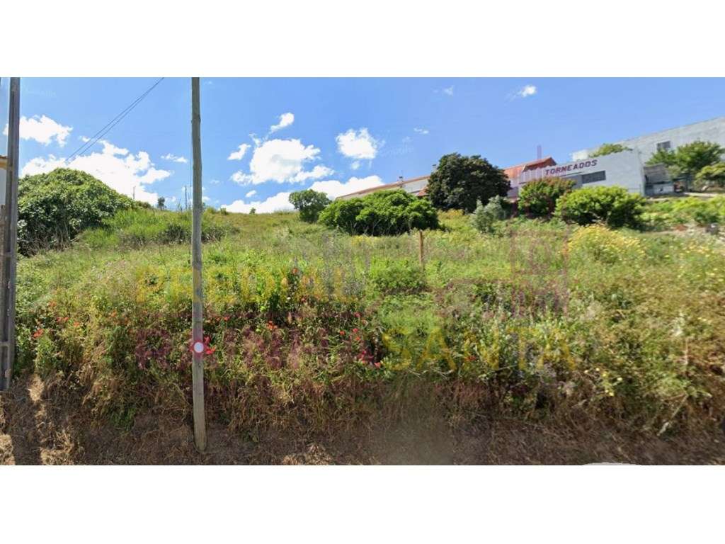 Terreno para construção com 882m2 em Pernes - Grande imagem: 3/6