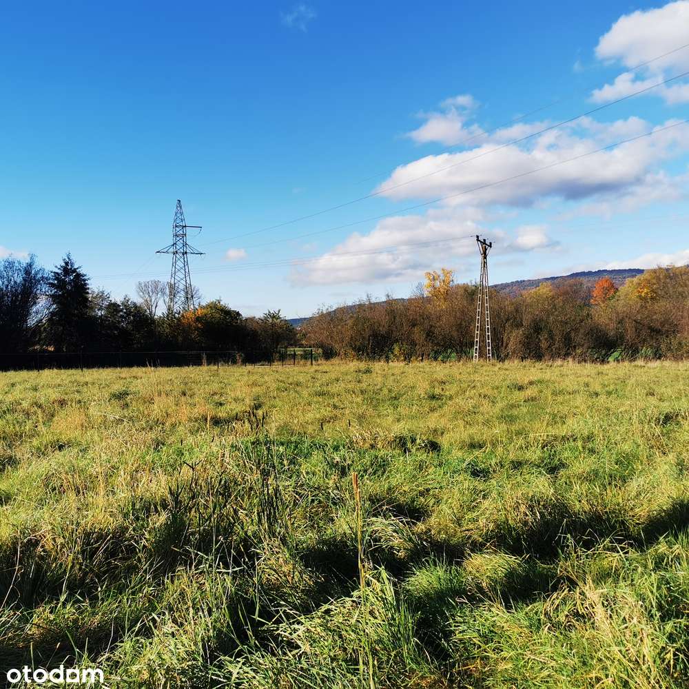 Malownicza działka - Pełny obrazek: 5/13