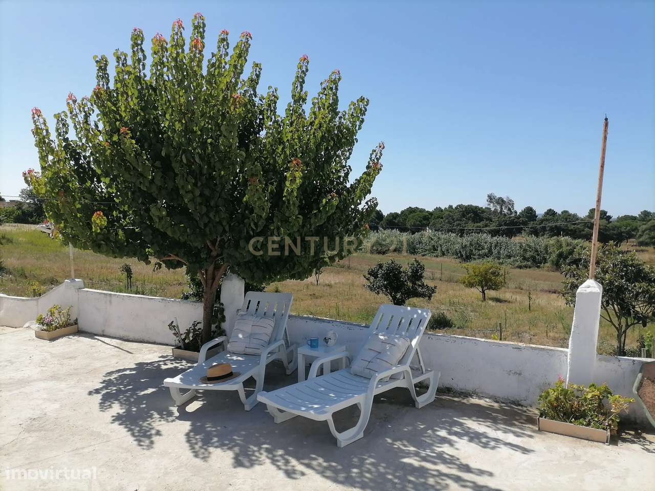 Quintinha T3 Pinhal Novo - Grande imagem: 4/36