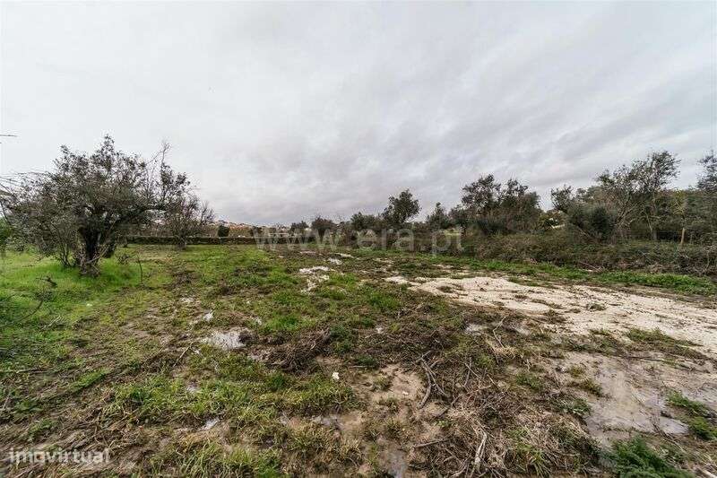 Terreno para Construção / Fundão, Orca - Grande imagem: 5/14