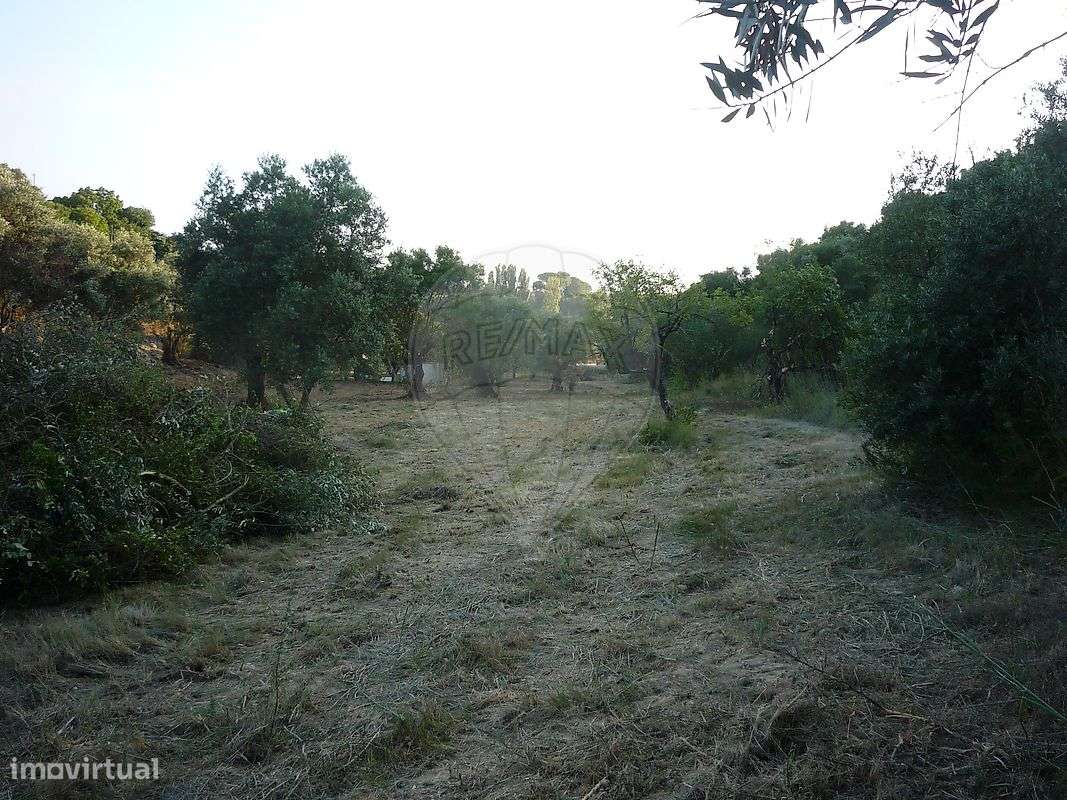 Terreno  para venda - Grande imagem: 4/11