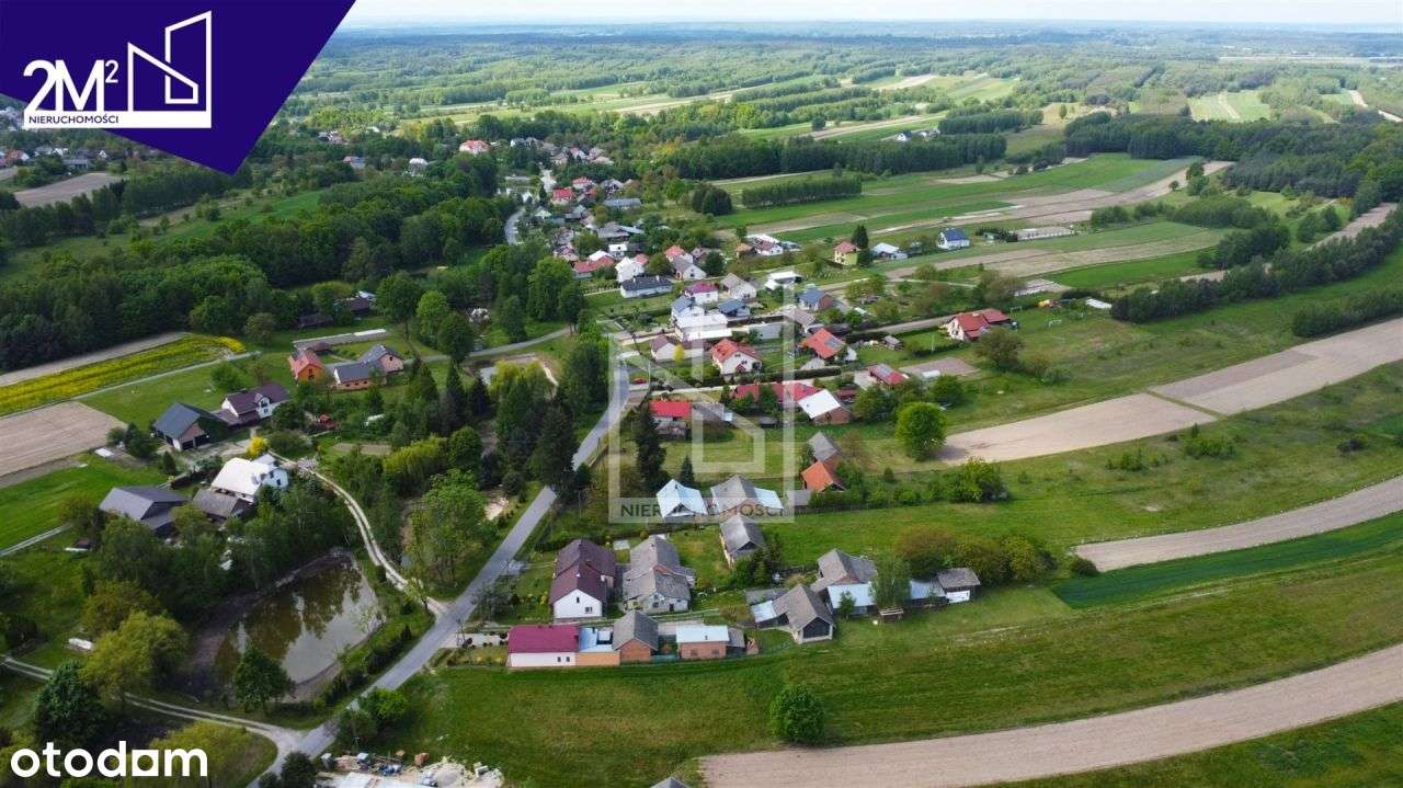 Działki na sprzedaż Żołynia - Pełny obrazek: 5/5