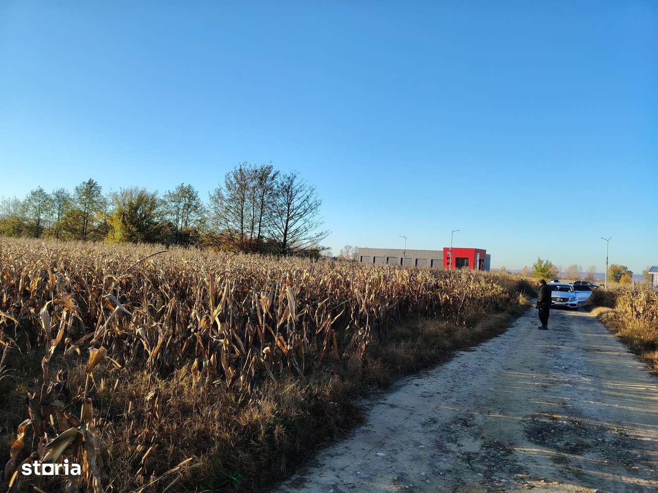 Teren intravilan Mioveni, zona Bălți în apropiere de Kaufland Mioveni - Imagine principală: 4/6