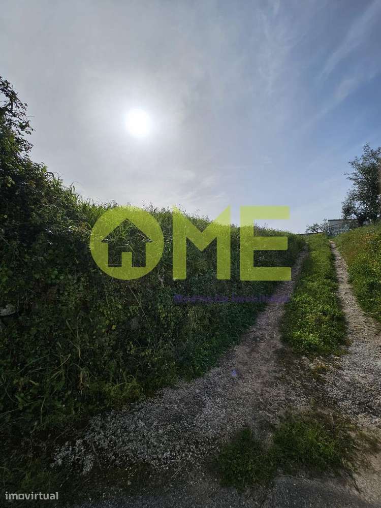 Terreno perto de Fátima - Grande imagem: 4/16