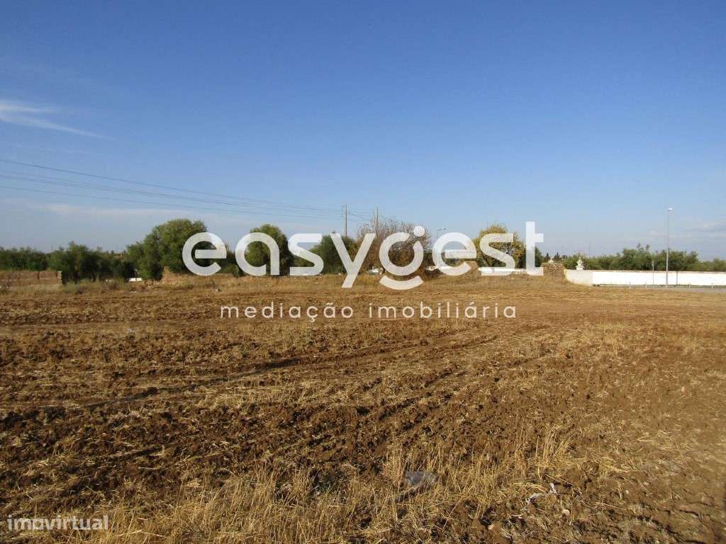Terreno plano Rústico com 4500m2, situado em Serpa - Grande imagem: 5/5