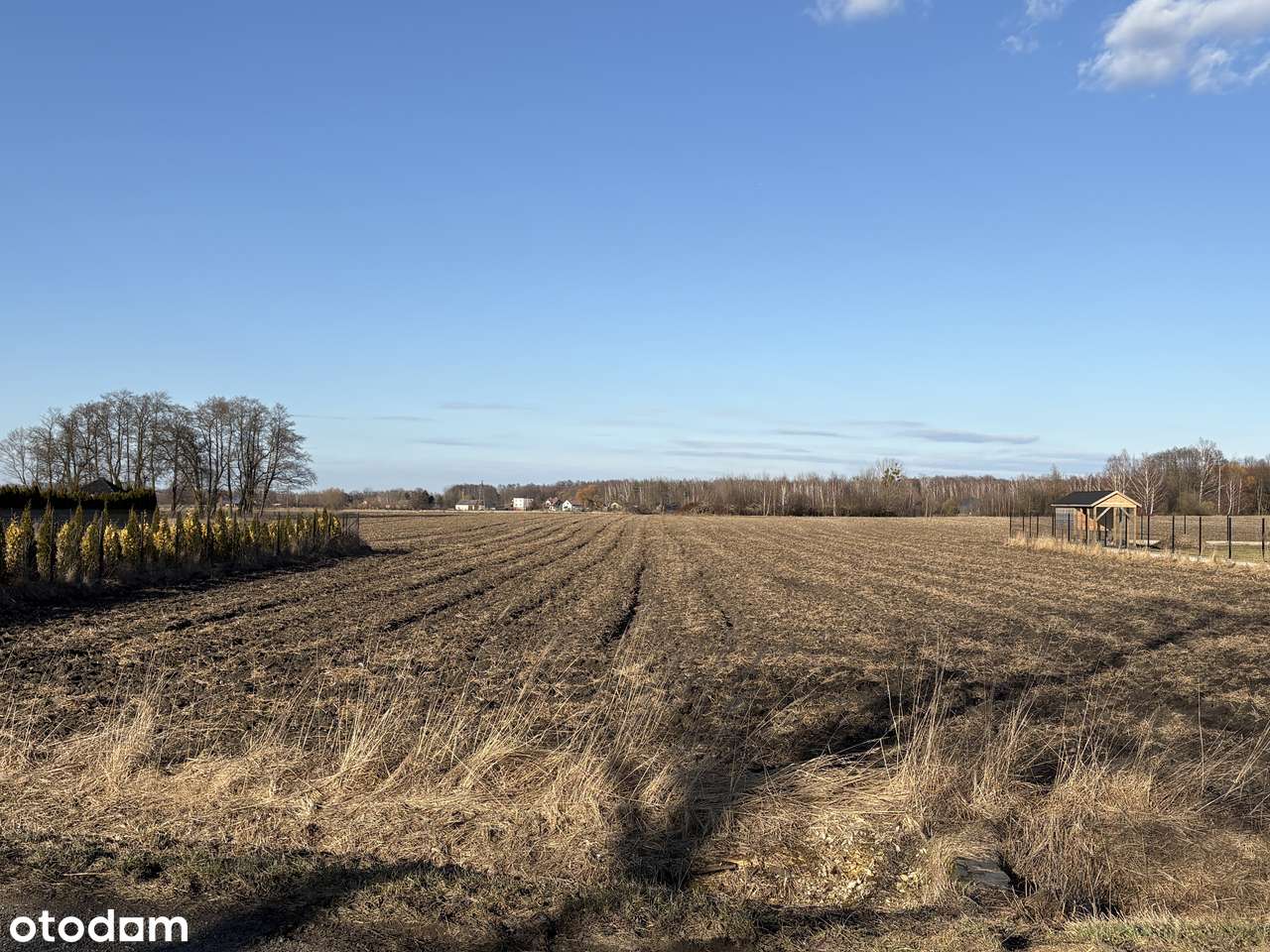 Działka budowlana 1500m2 | Aleksandria-2