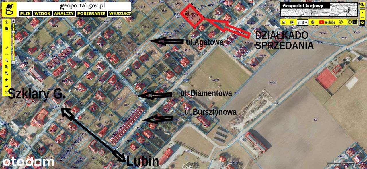 Działka budowlana, Obora / Lubin - Pełny obrazek: 2/2