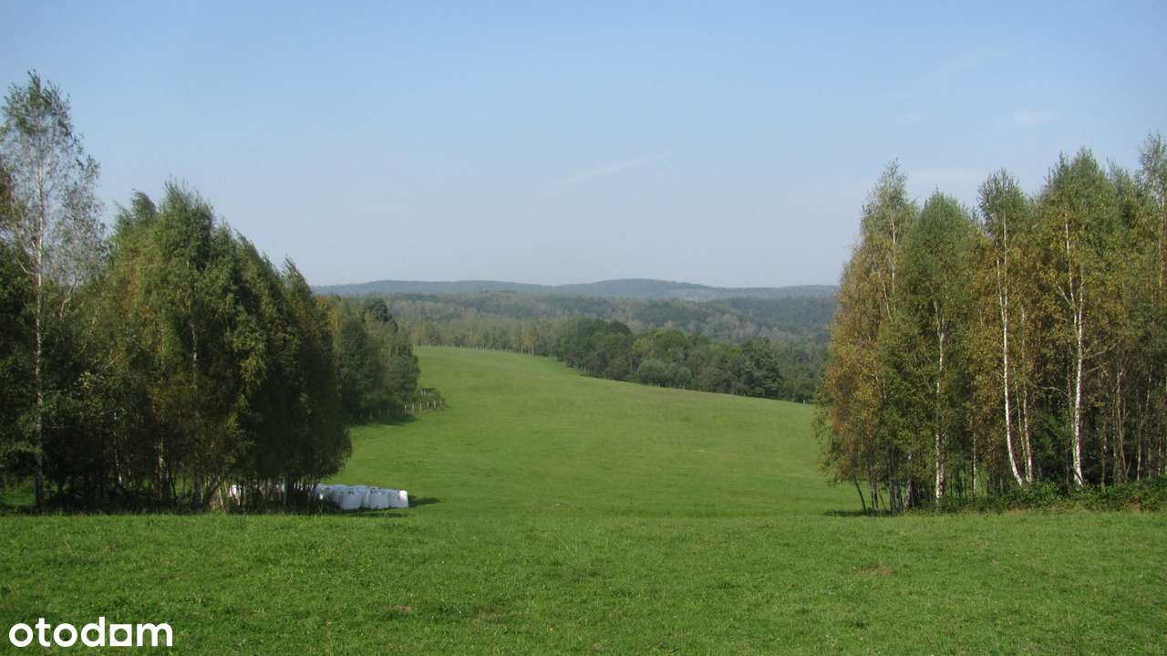 Siedlisko w Bieszczadach-0