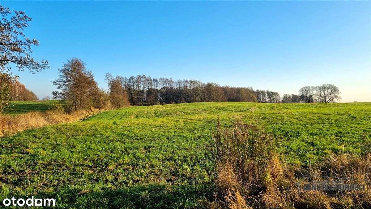 Parsęcko – działka 1,3 ha z możliwością siedliska.-6