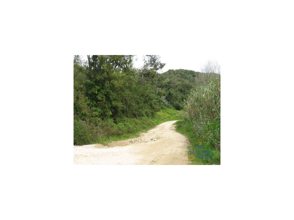 Terreno Rústico Venda Óbidos - Grande imagem: 3/15