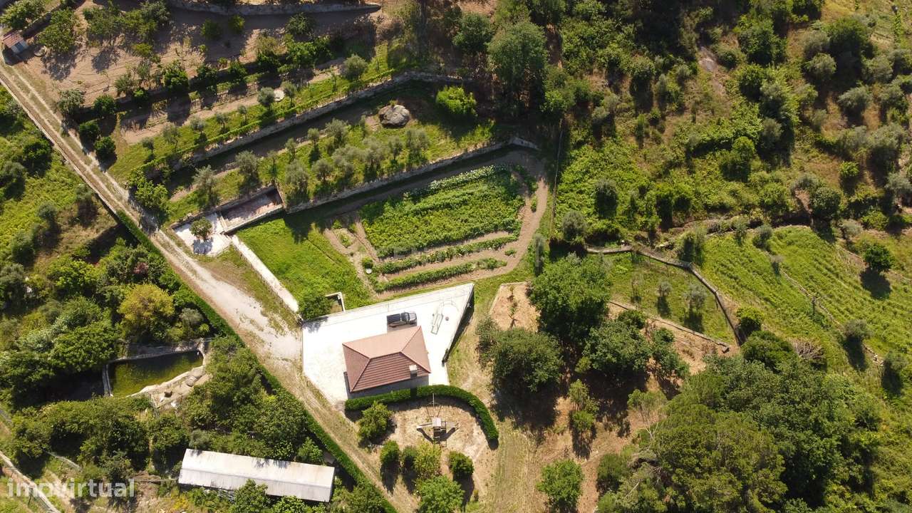 Quintinha em S. João de Lourosa com Casa e Anexos - Grande imagem: 2/26
