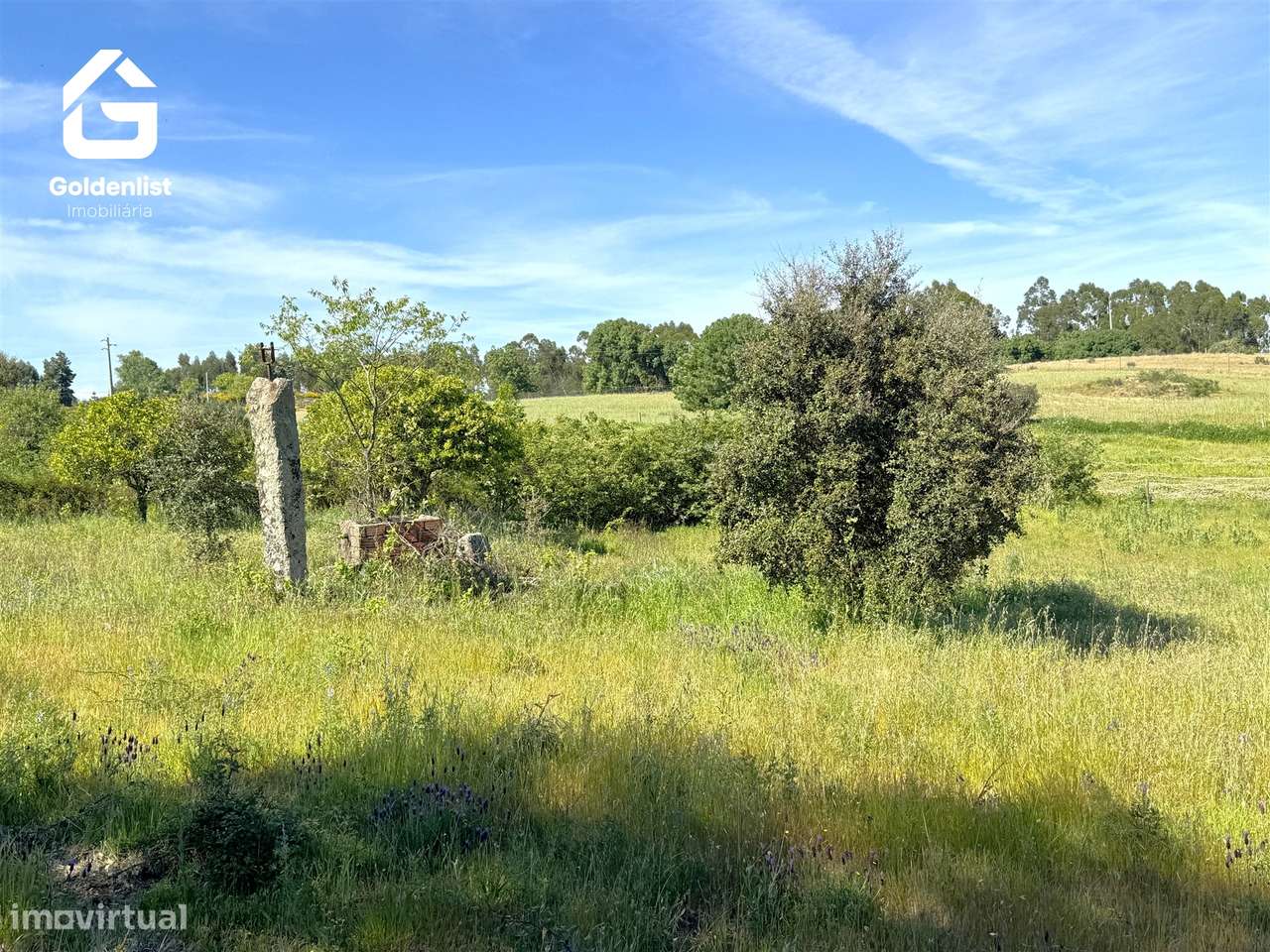 Quintinha  Venda em Escalos de Cima e Lousa,Castelo Branco-26