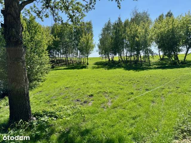 DZIAŁKA BUDOWLANA 25 km od Włocławka - Pełny obrazek: 5/20