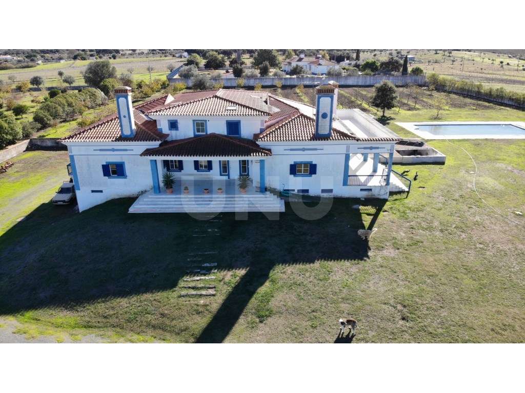 Quinta com 4,8 hectares e casa T9 em Vila Nova da Baronia-10