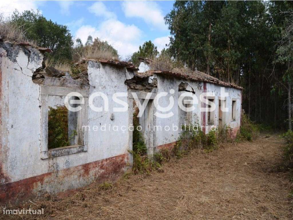 Moradia Isolada em ruínas para reconstruir perto de Ferreira do Zêzere - Grande imagem: 4/19