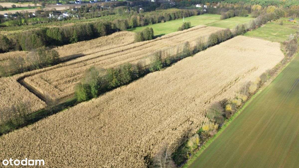 3195m2*3058m2*12minut do Torunia-9