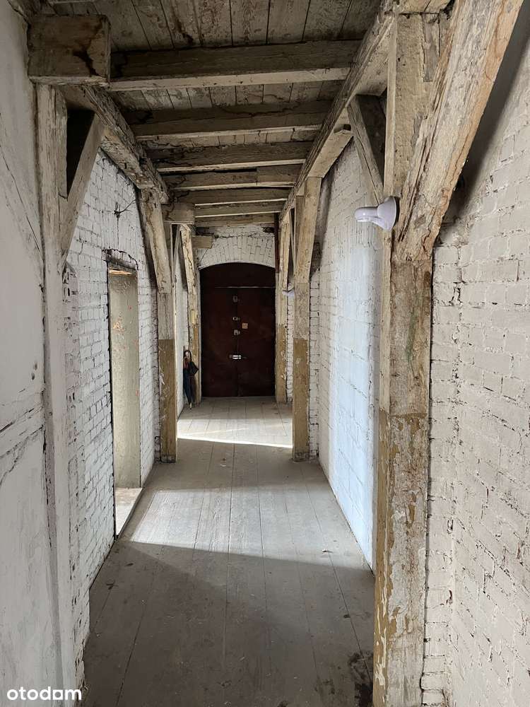 ul. Żeromskiego - 4 pokoje Kędzierzyn-Koźle i piwnica - Pełny obrazek: 5/10