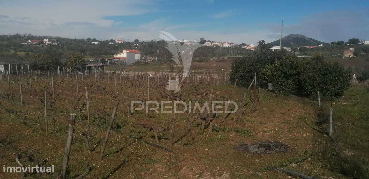 Terreno Industrial - Grande imagem: 4/7