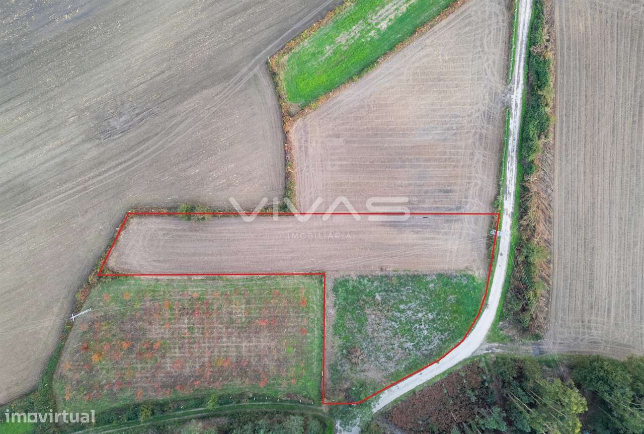 Terreno Rústico  Venda em Associação de freguesias do Vale do Neiva,Po - Grande imagem: 1/15