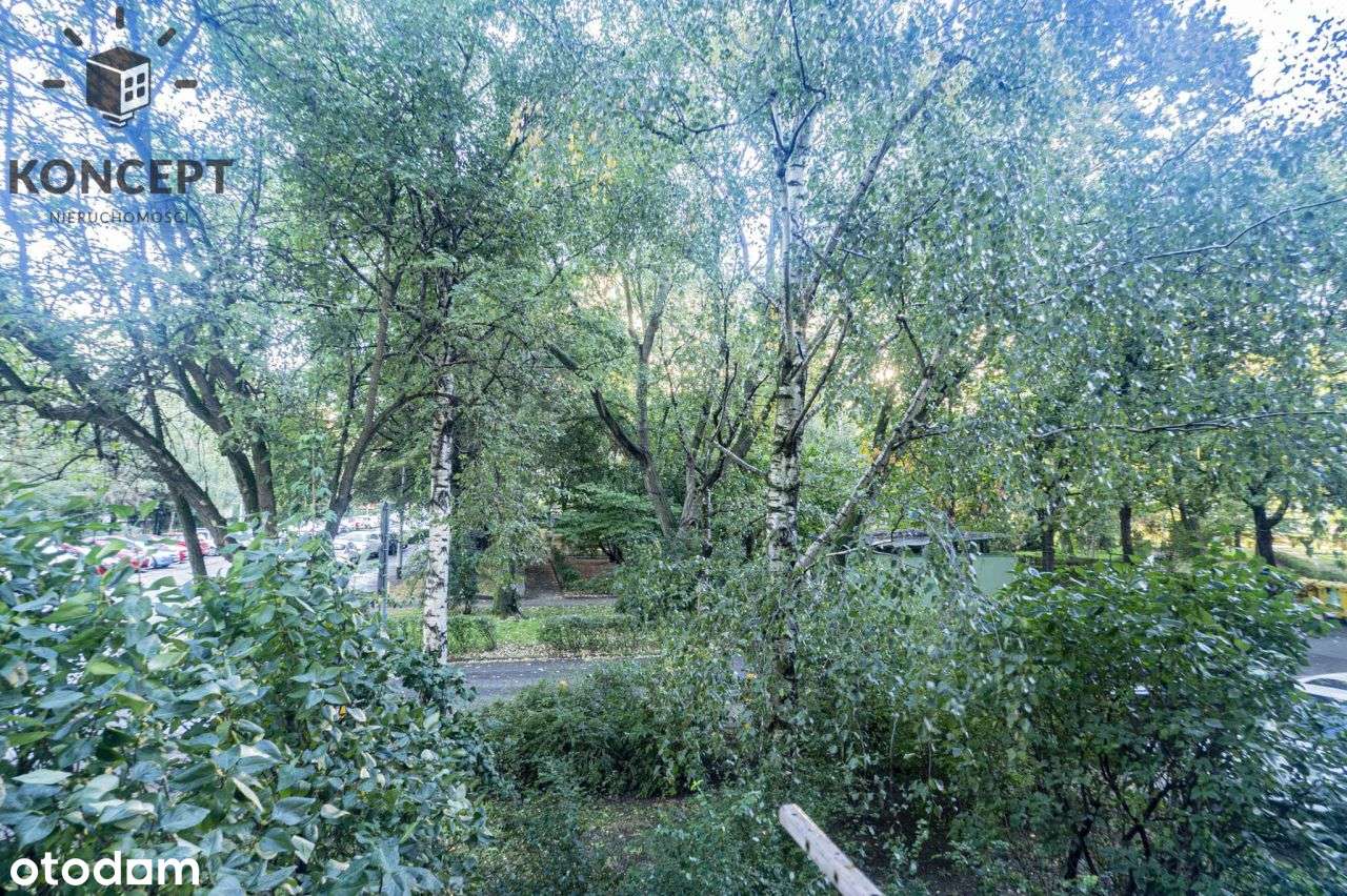 Mieszkanie na Szczepinie, 2 pokoje, rozkład-2