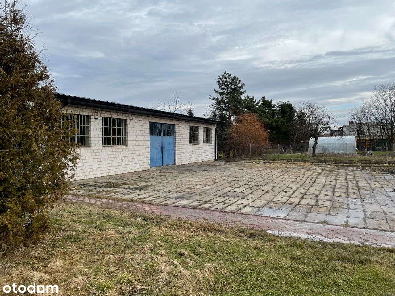 Hala do wynajęcia - Pełny obrazek: 5/7