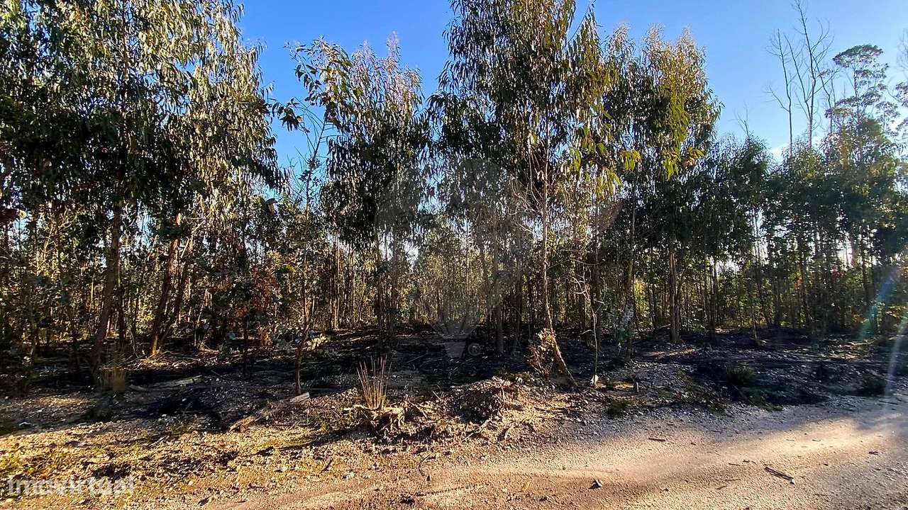 Terreno  para venda - Grande imagem: 5/12