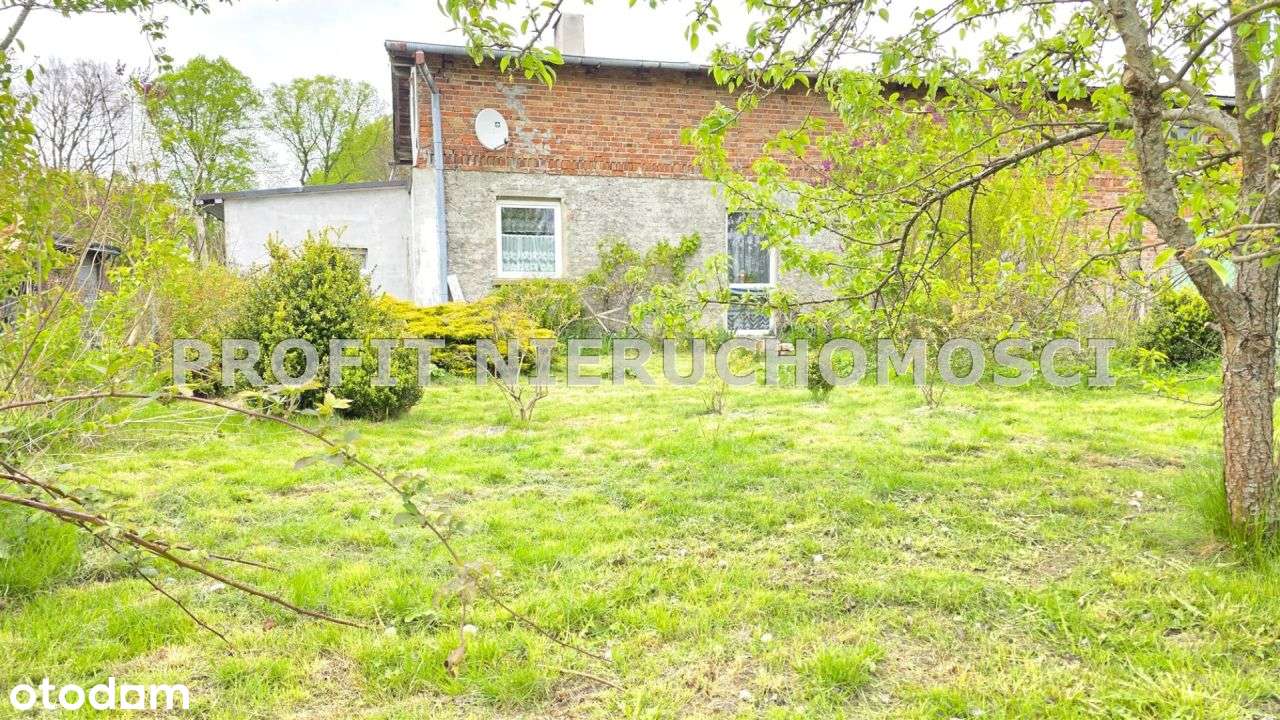 Segment w zabudowie szeregowej z dużą działką - Pełny obrazek: 4/17