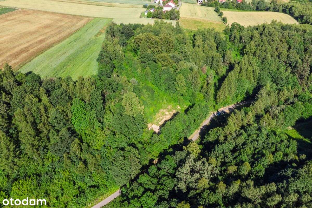 Malownicza duża działka z PnB-13