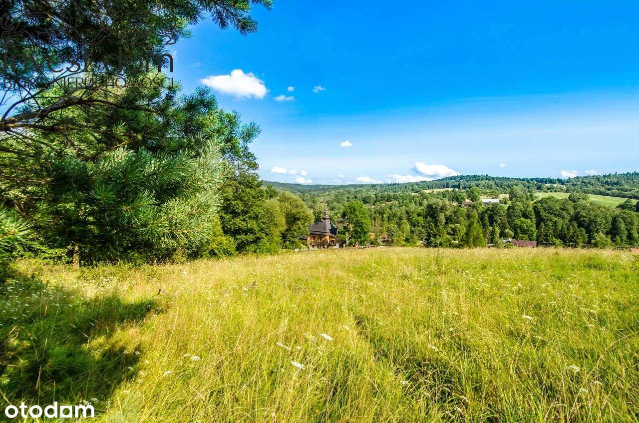 Działka rolna w górach i dolinach Beskidu Niskiego - Pełny obrazek: 4/13