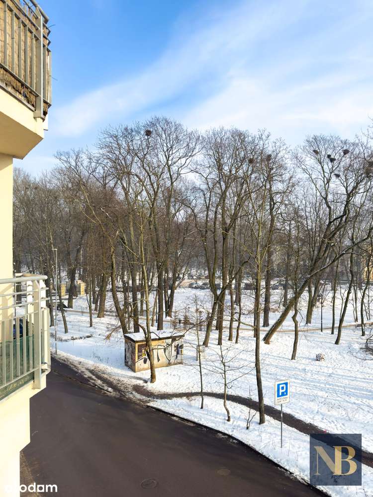 Narożne mieszkanie w centrum | 2 pokoje (69 m²) z potencjałem na 3pok.-15