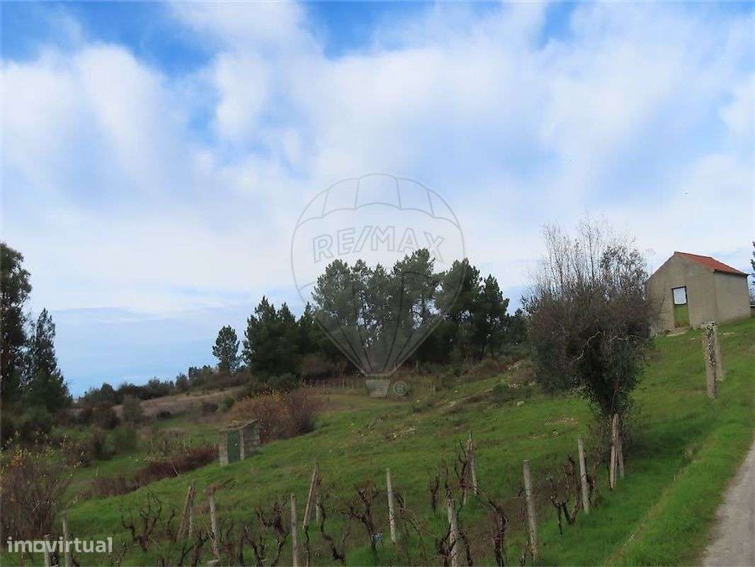 Quinta T2 para venda - Grande imagem: 4/44