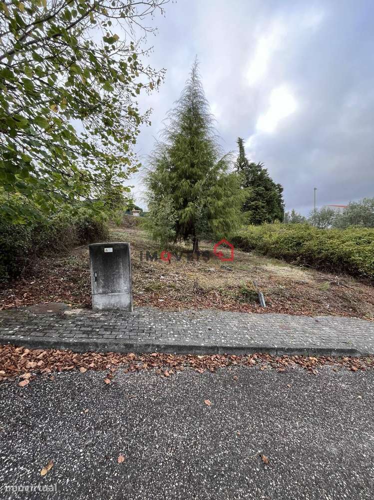 LOTE 79 – Quinta do Rei – Leiria - Grande imagem: 3/7