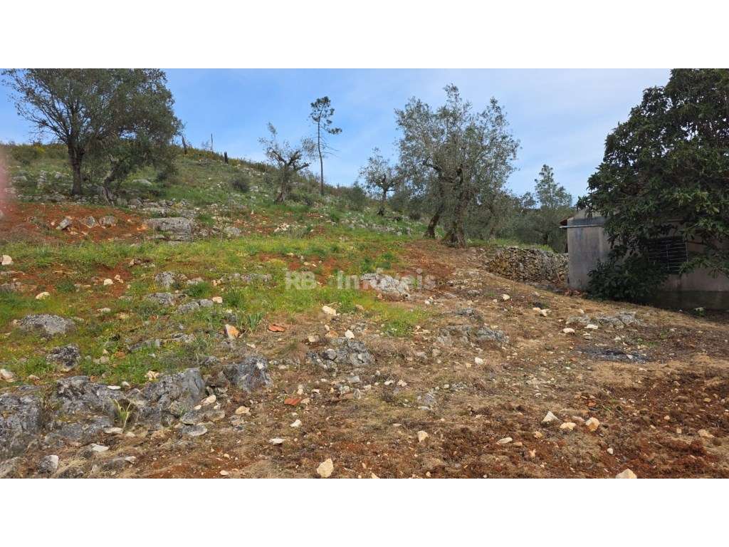 Casa de campo com mais de 1 hectare de terreno - Quebrada de Cima, ...-13