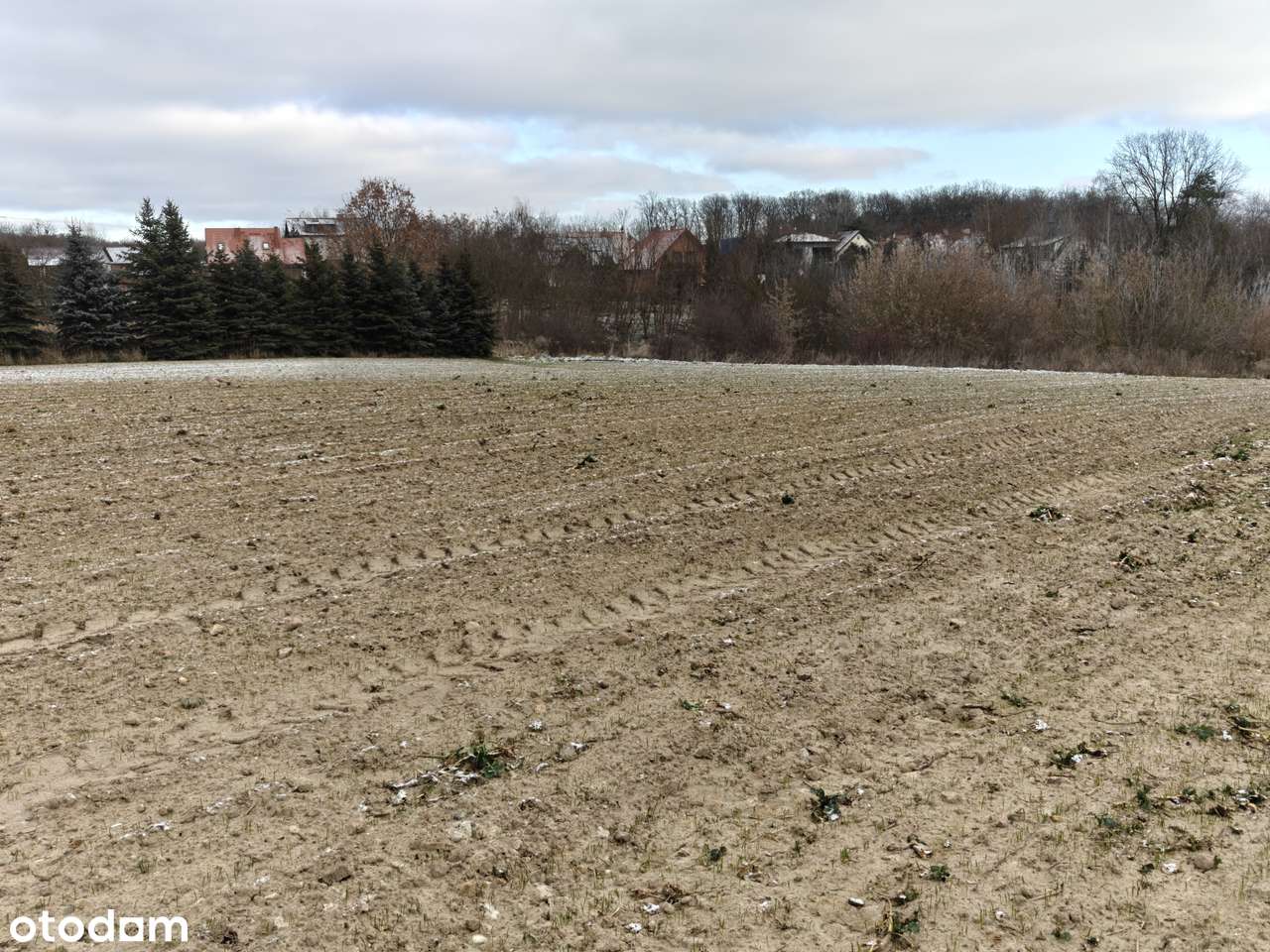 Działka mieszkaniowa 1,2 ha dla dewelopera ( lub podział na mniejsze) - Pełny obrazek: 3/12