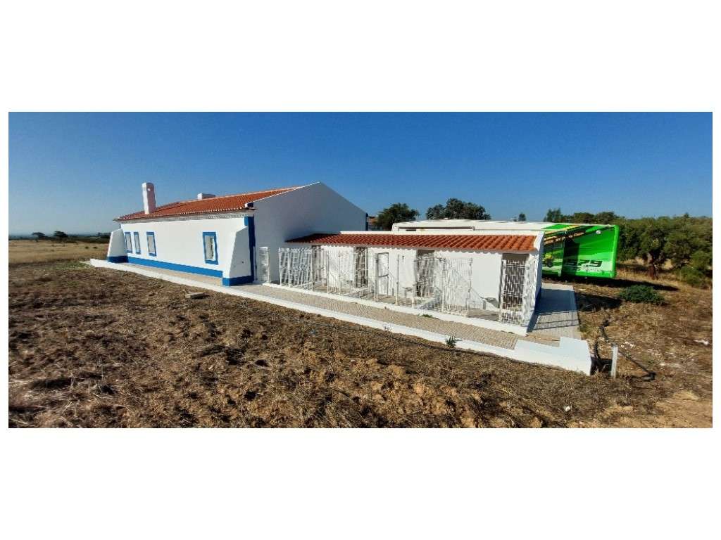 HERDADE no Alentejo-13